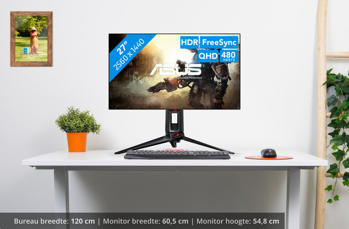 ASUS PG27AQDP visual Coolblue 1