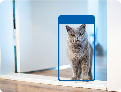 TP-Link Tapo C230 visual leverancier