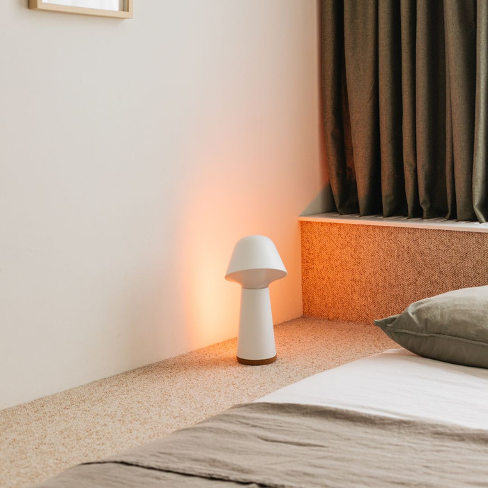 Philips Hue Twilight Sleep & Wake Up Light - Wit visual leverancier