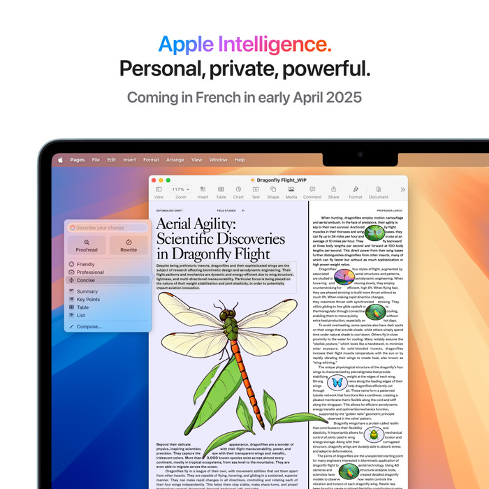 Apple MacBook Air 13 inches (2025) M4 (10 CPU/10 GPU) 24GB/512GB Starlight AZERTY visual supplier