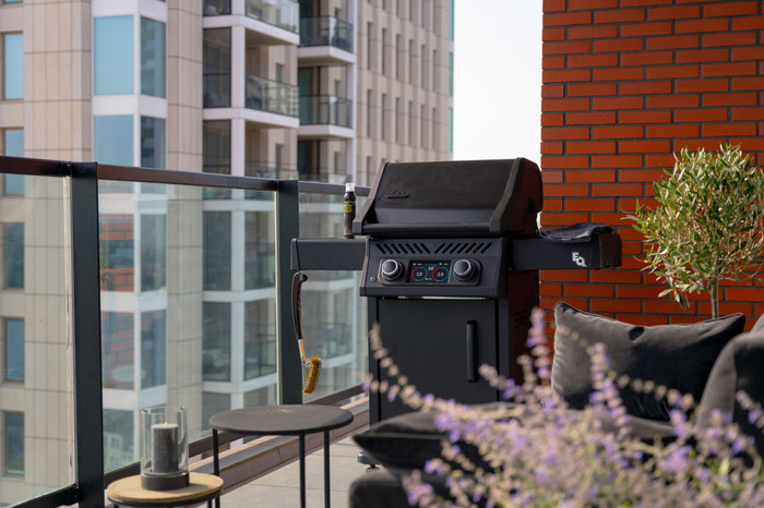 Napoleon Rogue EQ 365 produit à l'usage