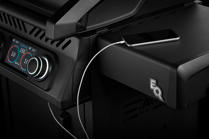 Napoleon Rogue EQ 365 détail