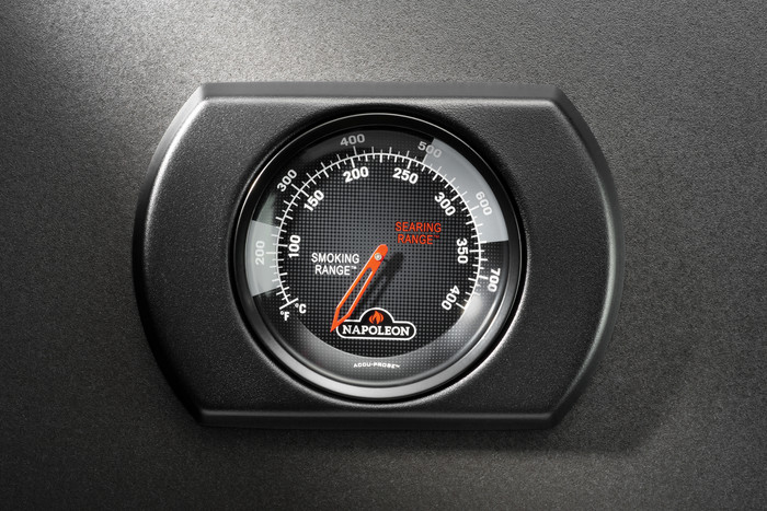 Napoleon Phantom Rogue PRO-S 425 détail