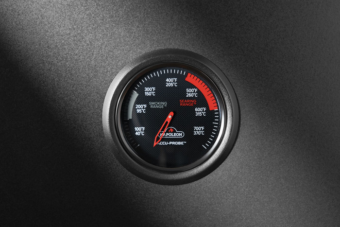 Napoleon Phantom Prestige 500 détail