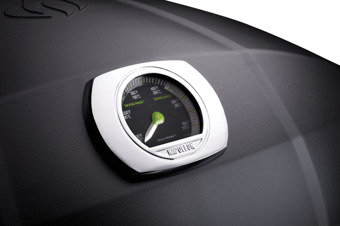 Napoleon TravelQ PRO285X détail