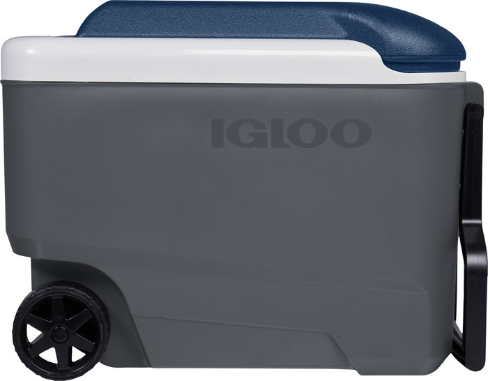 Igloo Maxcold 40R back