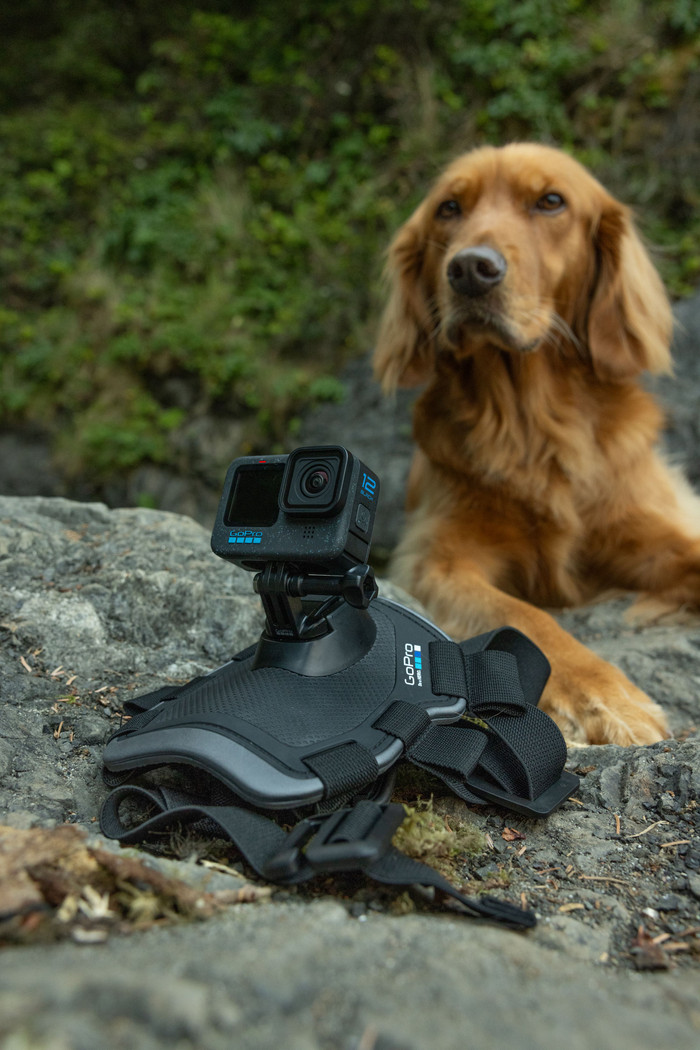 GoPro Fetch Dog Harness visuel fournisseur