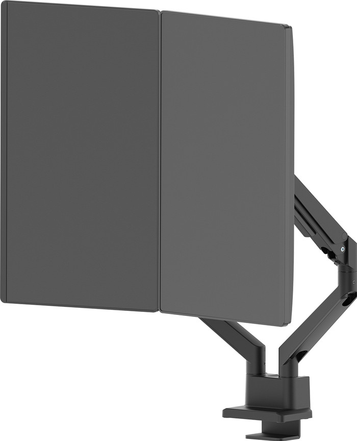 Neomounts NEXT Slim DS70-250BL2 Bras d'Écran PC avec Vérin à Gaz Noir produit à l'usage