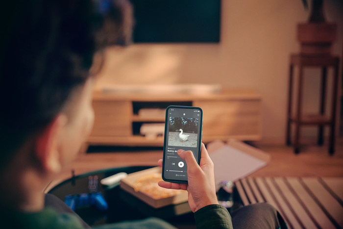 Philips Ambilight 77 inches OLED760 4K (2025) + JBL Bar 500 M2 Black product in use