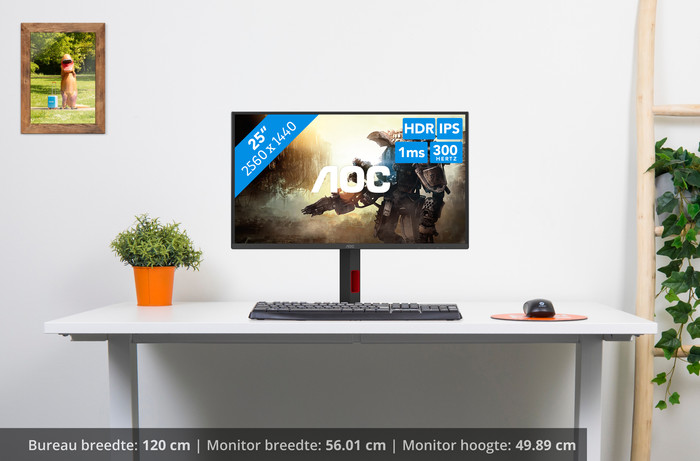 AOC Q25G4SR visual Coolblue 1