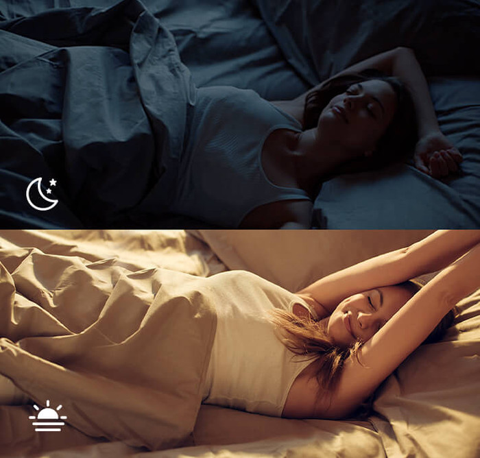 TP-Link Tapo L930-5 Ruban Lumineux 5 m visuel fournisseur