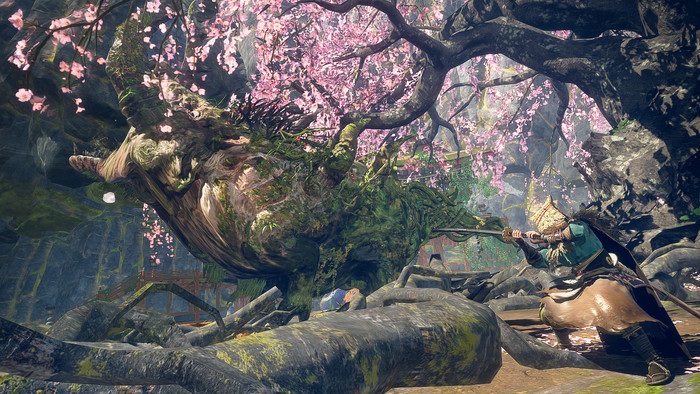 Wild Hearts S Nintendo Switch 2 produit à l'usage