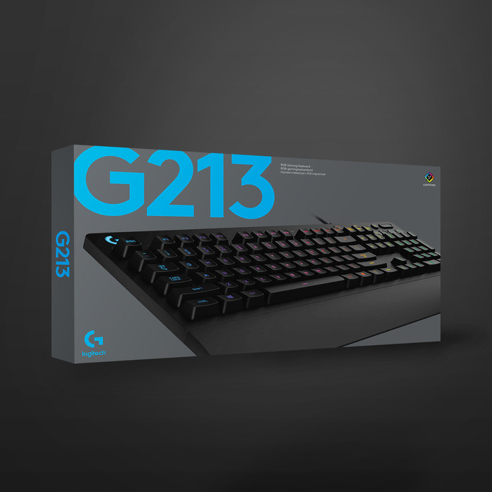 Logitech G213 Prodigy QWERTY product in use