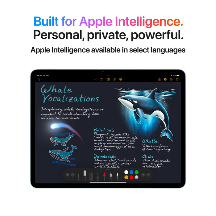 Apple iPad Air (2025) 13 Pouces 256 Go Wifi + 5G Gris Sidéral visuel fournisseur