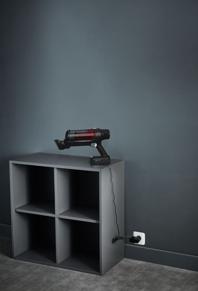 Rowenta X-Pert 7.60 RH6A73 detail