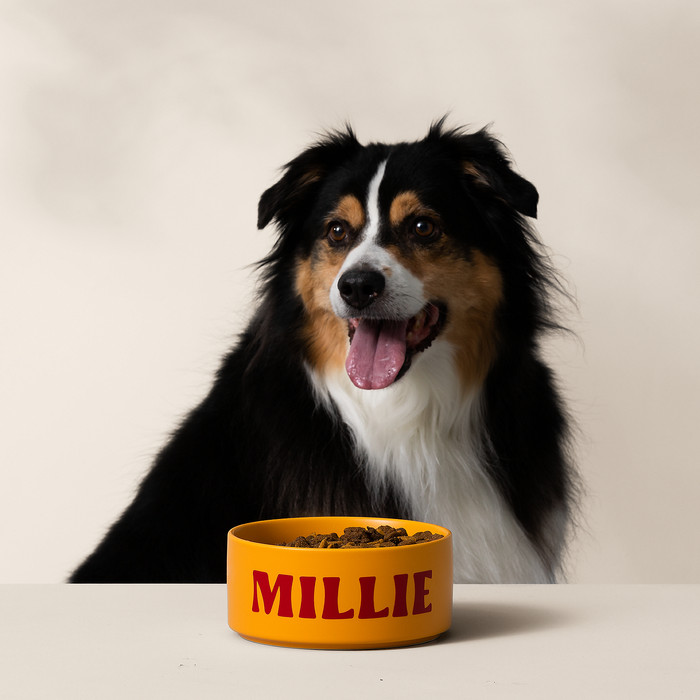 Cricut Joy Xtra Lavande Kit de Démarrage visuel fournisseur