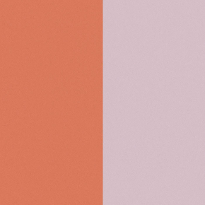 Dyson Airstrait Limited Edition Amber Silk product color detail