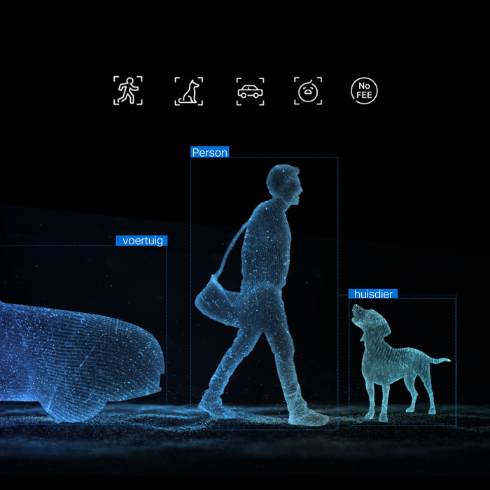 TP-Link Tapo C246D visual supplier