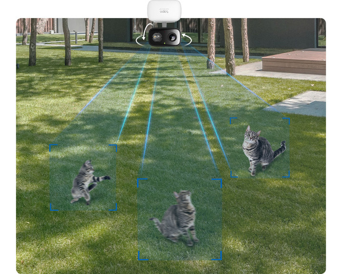 TP-Link Tapo C216 visual leverancier