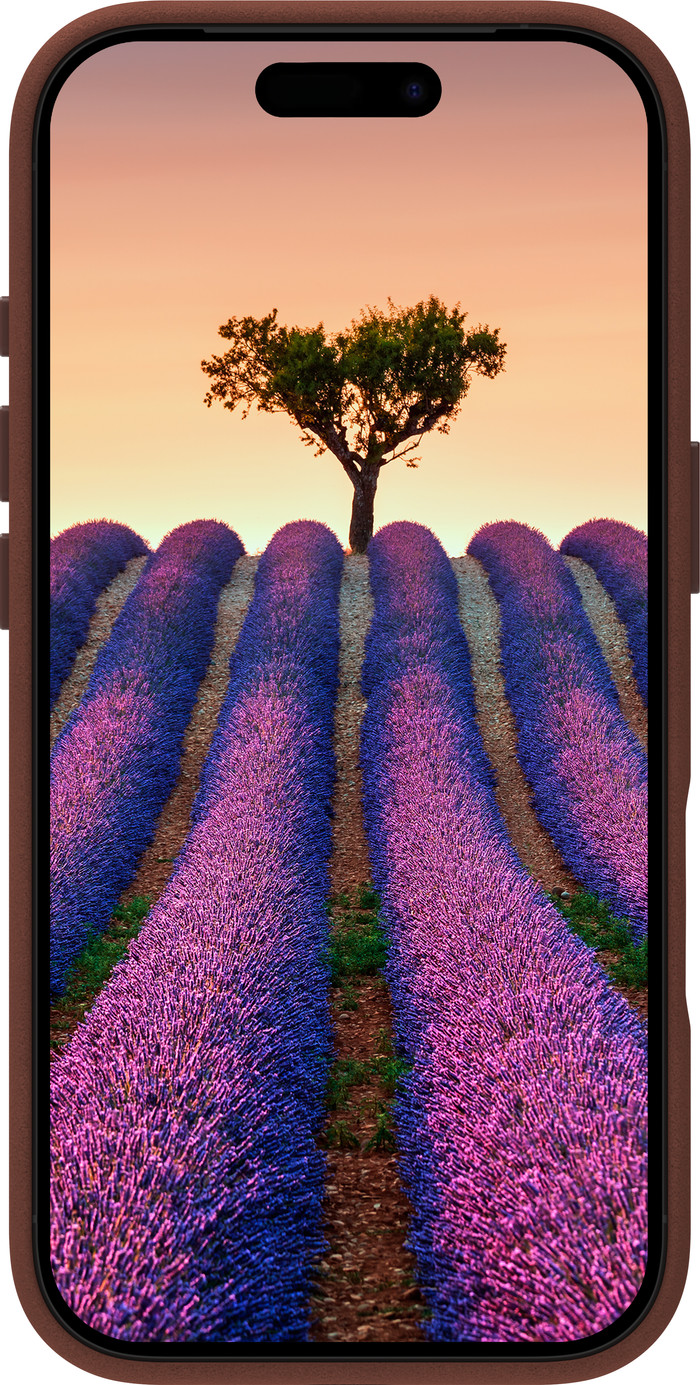 DBramante1928 Roskilde Apple iPhone 17 Pro Back Cover avec MagSafe Cuir Brun avant