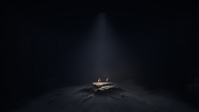 REANIMAL Deluxe Edition Nintendo Switch 2 visuel fournisseur