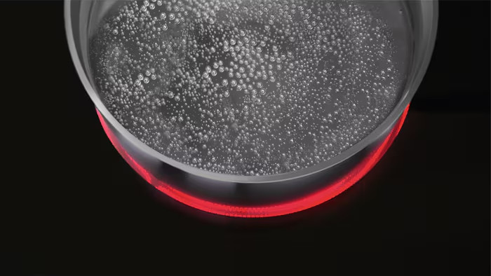 AEG TN64RA06XB detail