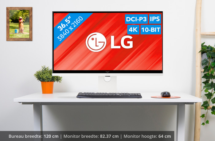 LG UltraFine 37U730SA-W visual Coolblue 1