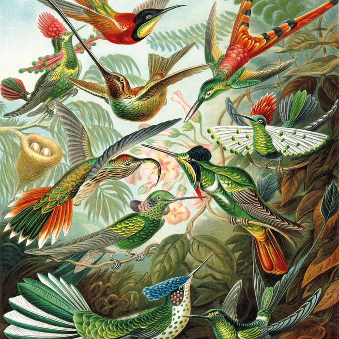 Philips Senseo Original Plus Limited Edition visuel fournisseur