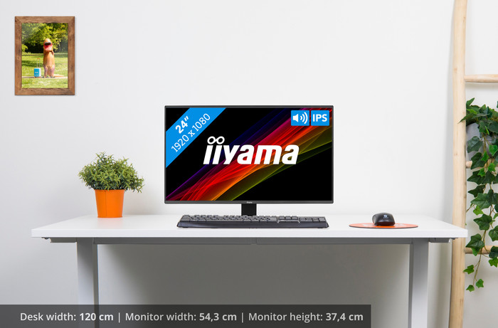 iiyama ProLite X2492HSU-B1 visual Coolblue 1