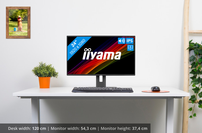 iiyama ProLite XB2492HSU-B1 visual Coolblue 1