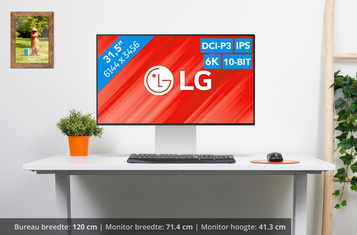LG UltraFine 32U990-S visual Coolblue 1