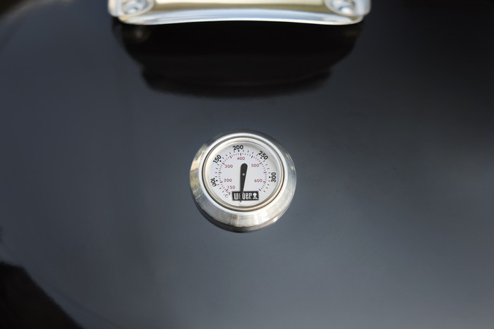 Weber Performer detail