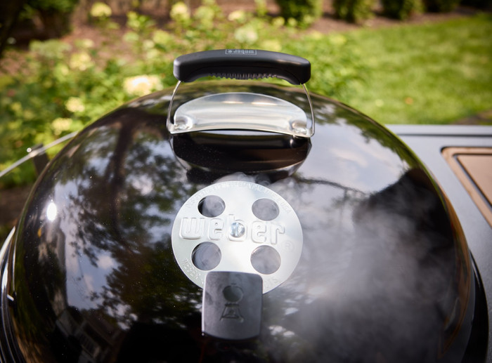 Weber Performer Smart detail