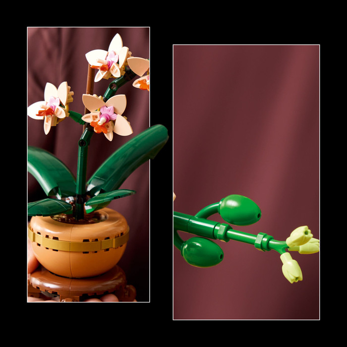 LEGO Botanicals Mini Orchidee 10343 product in gebruik