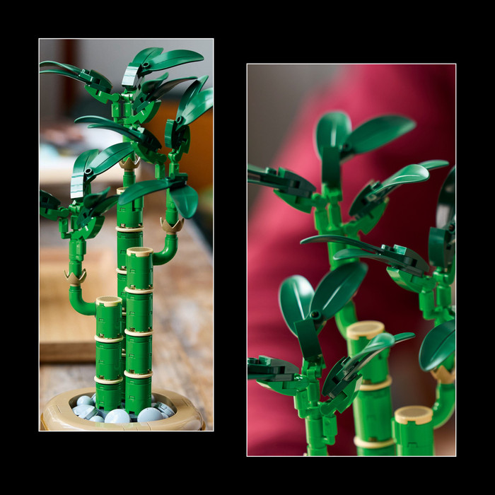 LEGO Botanicals Bamboe 10344 product in gebruik
