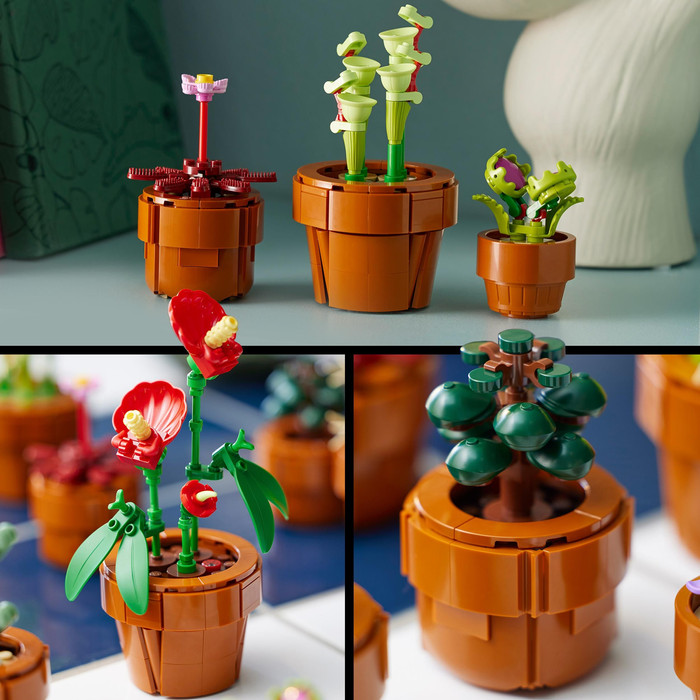 LEGO Botanicals Mini Plantjes 10329 product in gebruik