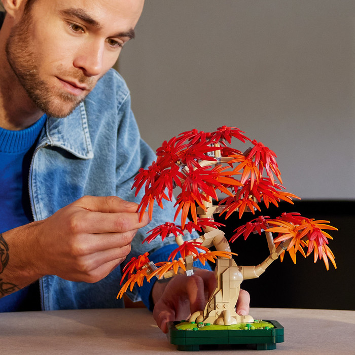 LEGO Botanicals Japanese Red Maple Bonsai Tree 10348 product in use