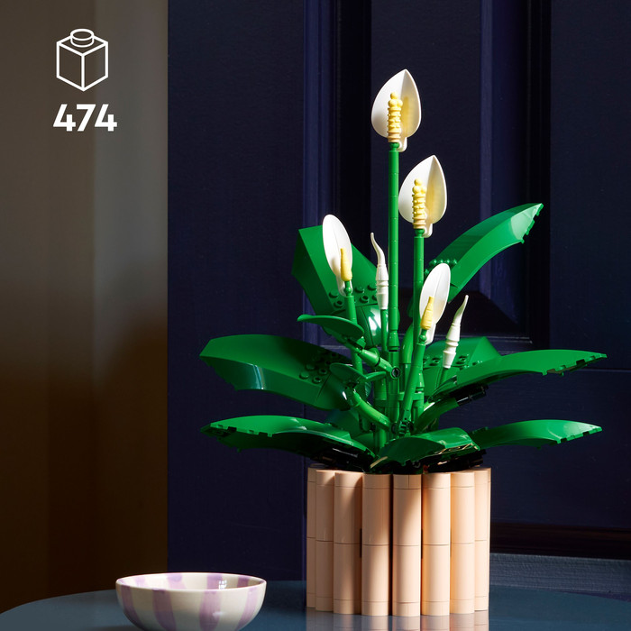 LEGO Botanicals - Les Fleurs de Lune 11504 emballage