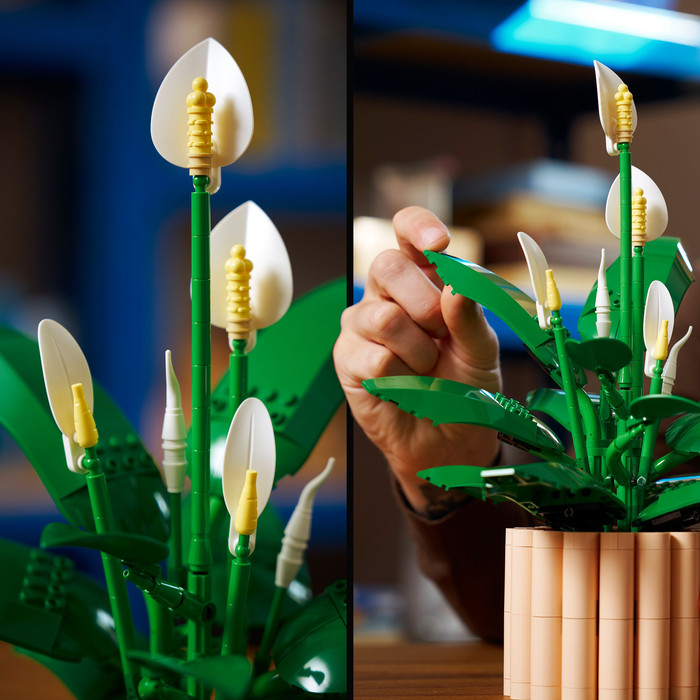 LEGO Botanicals - Les Fleurs de Lune 11504 produit à l'usage