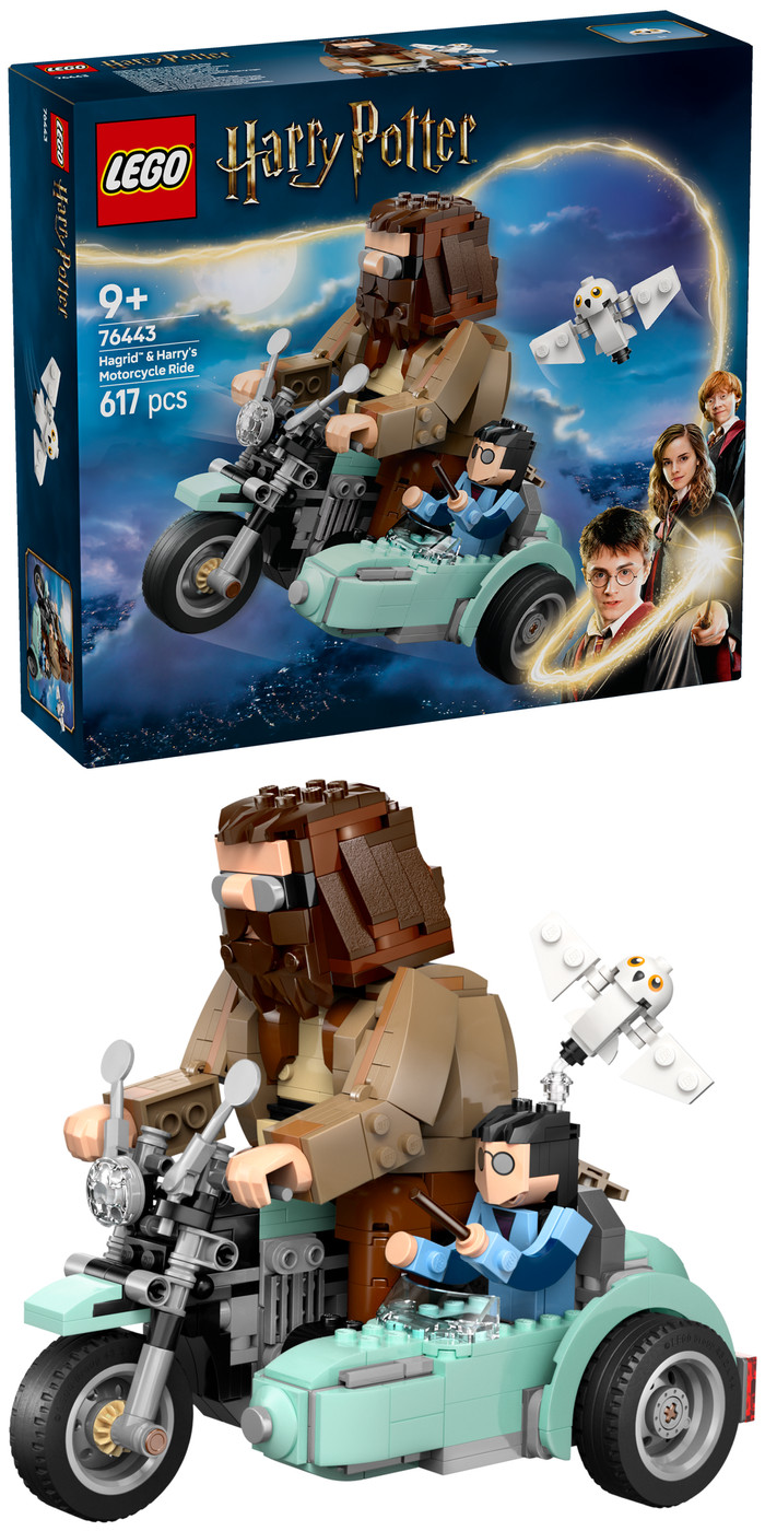 LEGO Harry Potter Hagrid & Harry's Motorcycle Ride 76443 right side