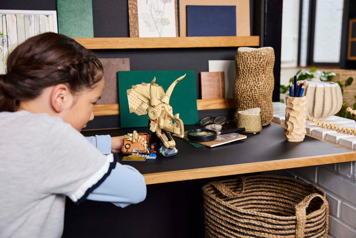 LEGO Jurassic World Dinosaur Fossils Triceratops Skull 76969 product in use