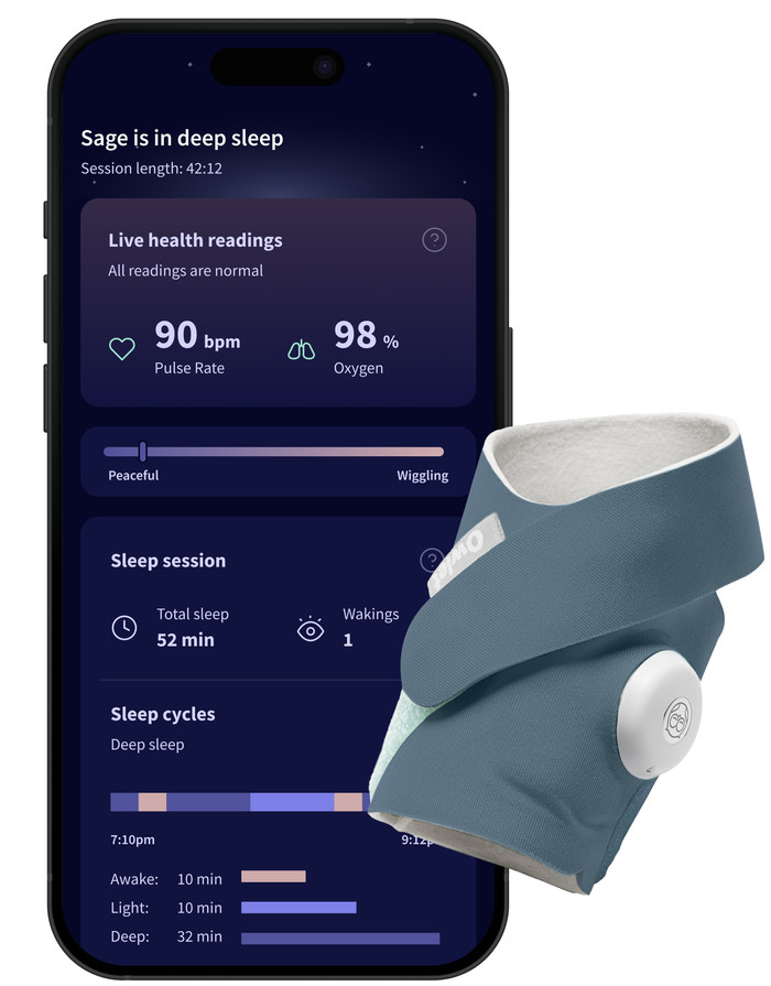 Owlet Dream Sock Bedtime Blue OW-DS-BL Main Image