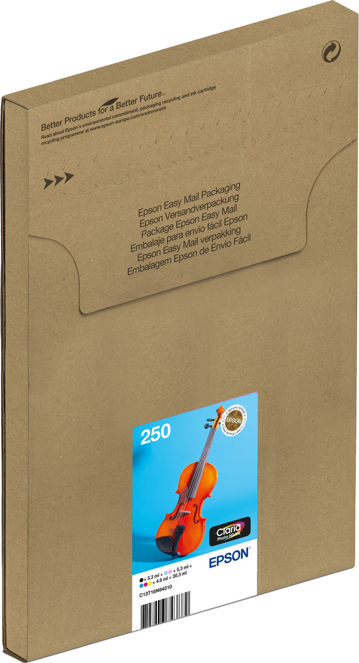 Epson Multipack 6-colours 250 Inkt Easymail Main Image