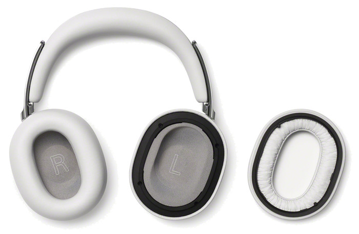 Sony 1000X THE COLLEXION Platinum detail
