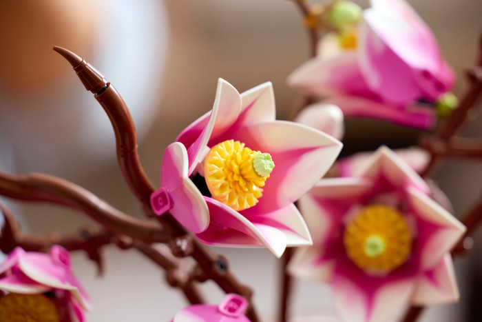 LEGO Botanicals - Branches de Magnolia 11510 produit à l'usage