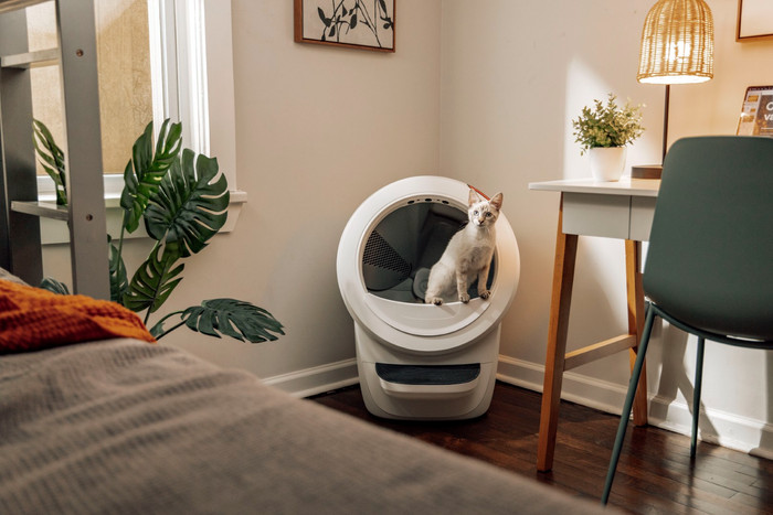 Whisker Automatische kattenbak Litter-Robot 4 Wit product in gebruik