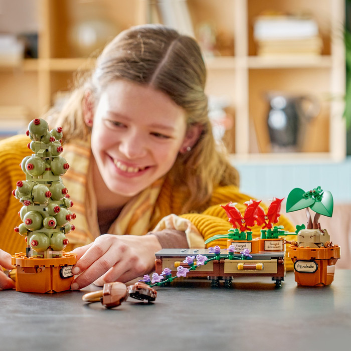 LEGO Harry Potter Zweinstein Kruidenkunde Planten 76474 product in gebruik