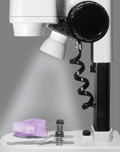 Bresser Junior Stereo Microscope 20x product in use