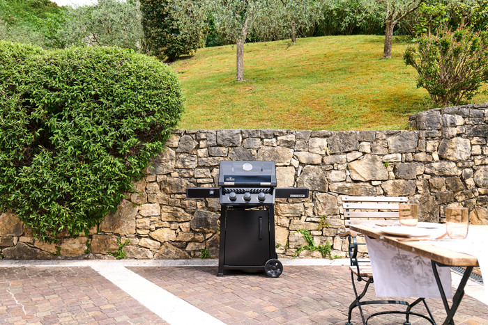 Napoleon Freestyle 365 Black product in use
