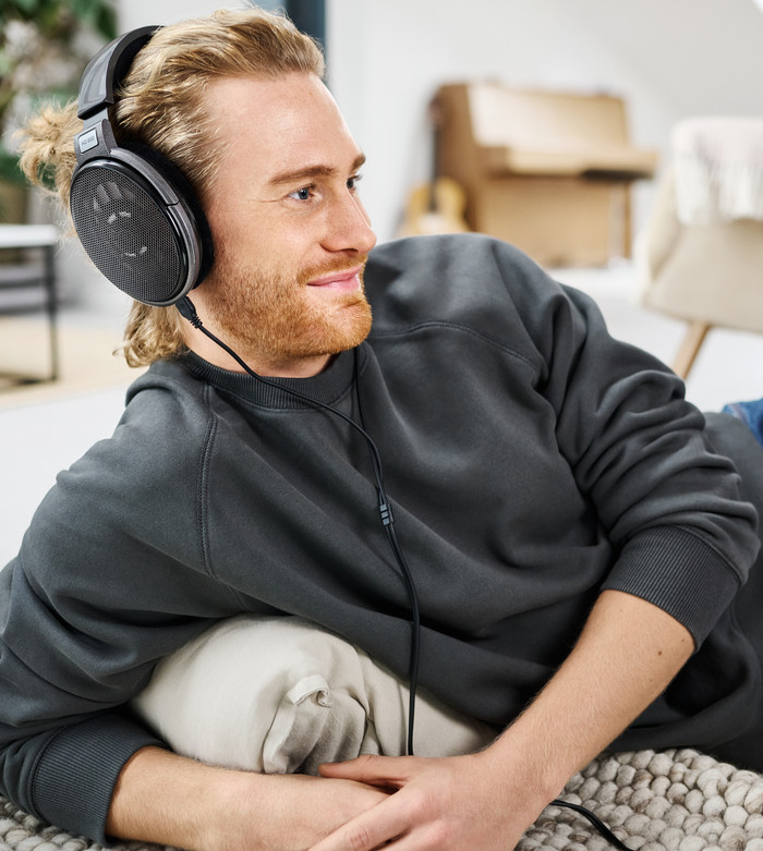 Sennheiser HD 650 visual leverancier